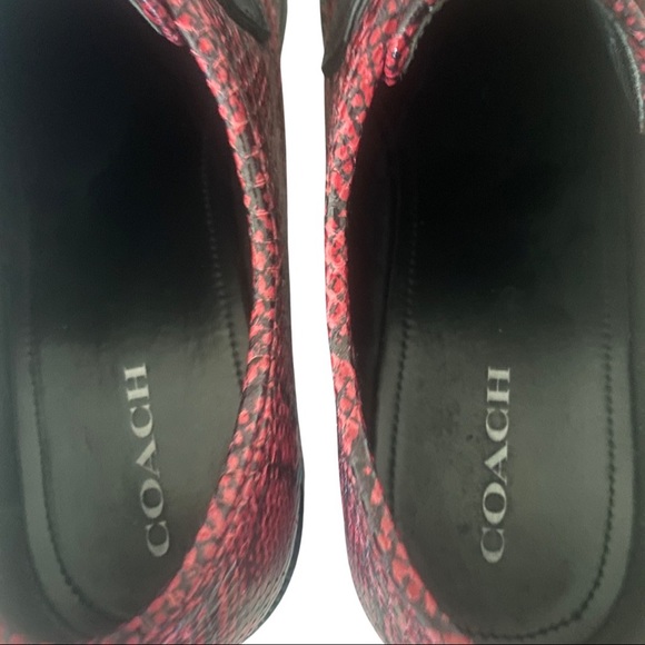 🔥 Coach snakeskin shoes - Picture 4 of 7